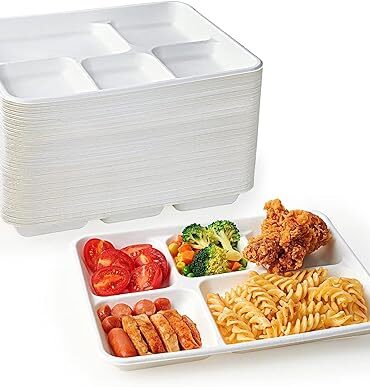 5-Compartment School Lunch Tray