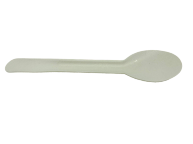 Bagasse Spoon