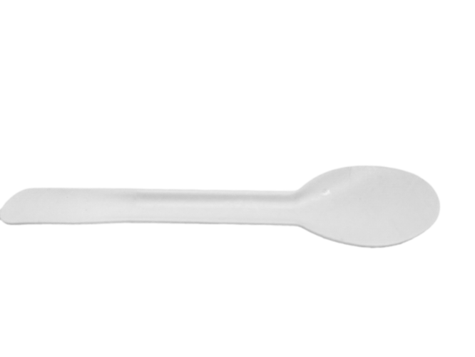 Bagasse Spoon