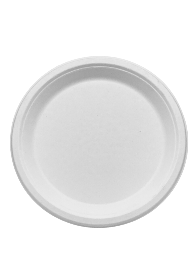 11 inch Round Plate