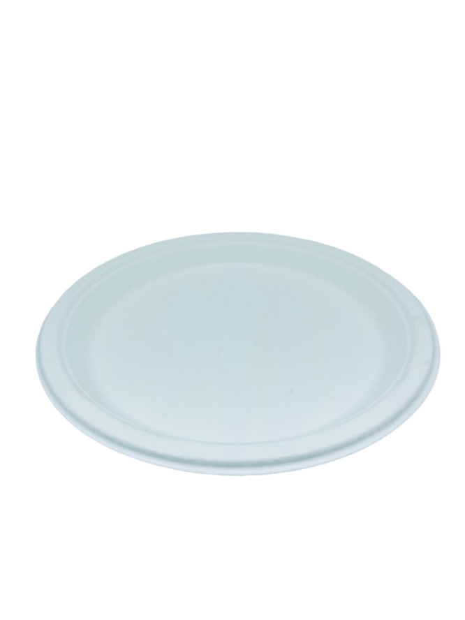 9 inch Round Plate