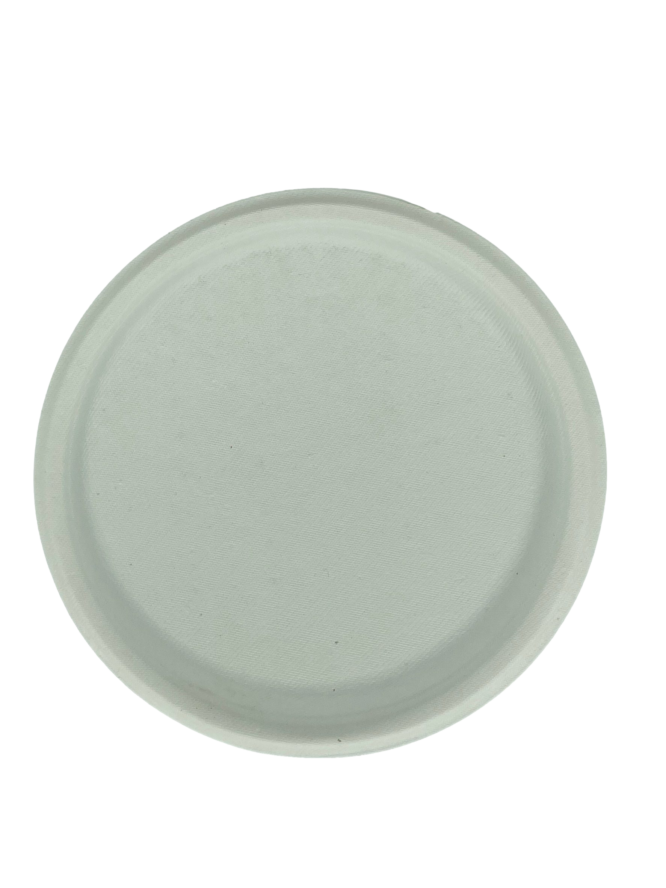 11 inch Round Plate