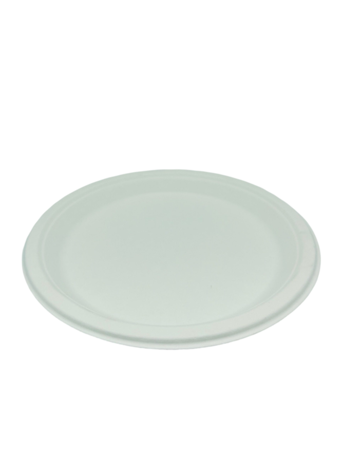 6 inch Round Plate